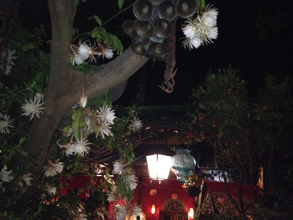 Casa De Las Flores Bed & Breakfast Tlaquepaque Bagian luar foto