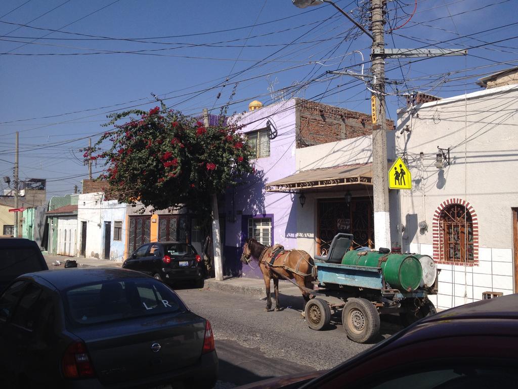 Casa De Las Flores Bed & Breakfast Tlaquepaque Bagian luar foto
