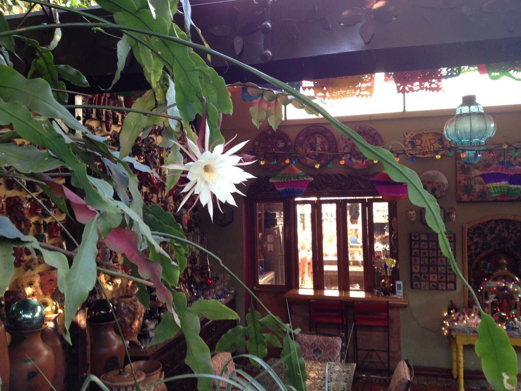 Casa De Las Flores Bed & Breakfast Tlaquepaque Bagian luar foto