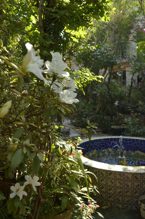 Casa De Las Flores Bed & Breakfast Tlaquepaque Bagian luar foto
