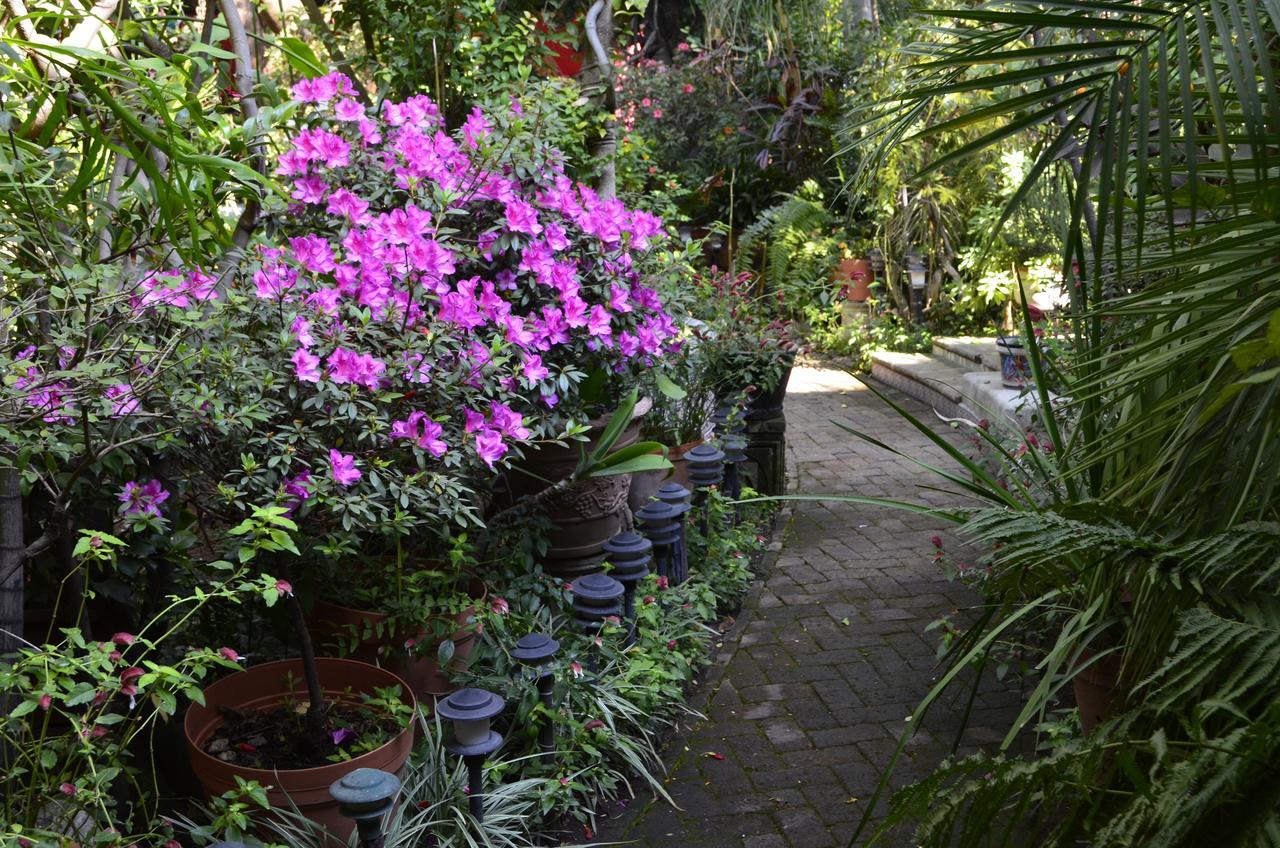 Casa De Las Flores Bed & Breakfast Tlaquepaque Bagian luar foto